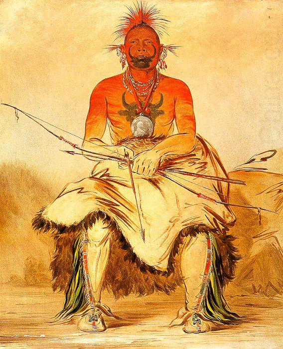 George Catlin Buffalo Bull : A Grand Pawnee Warrior china oil painting image